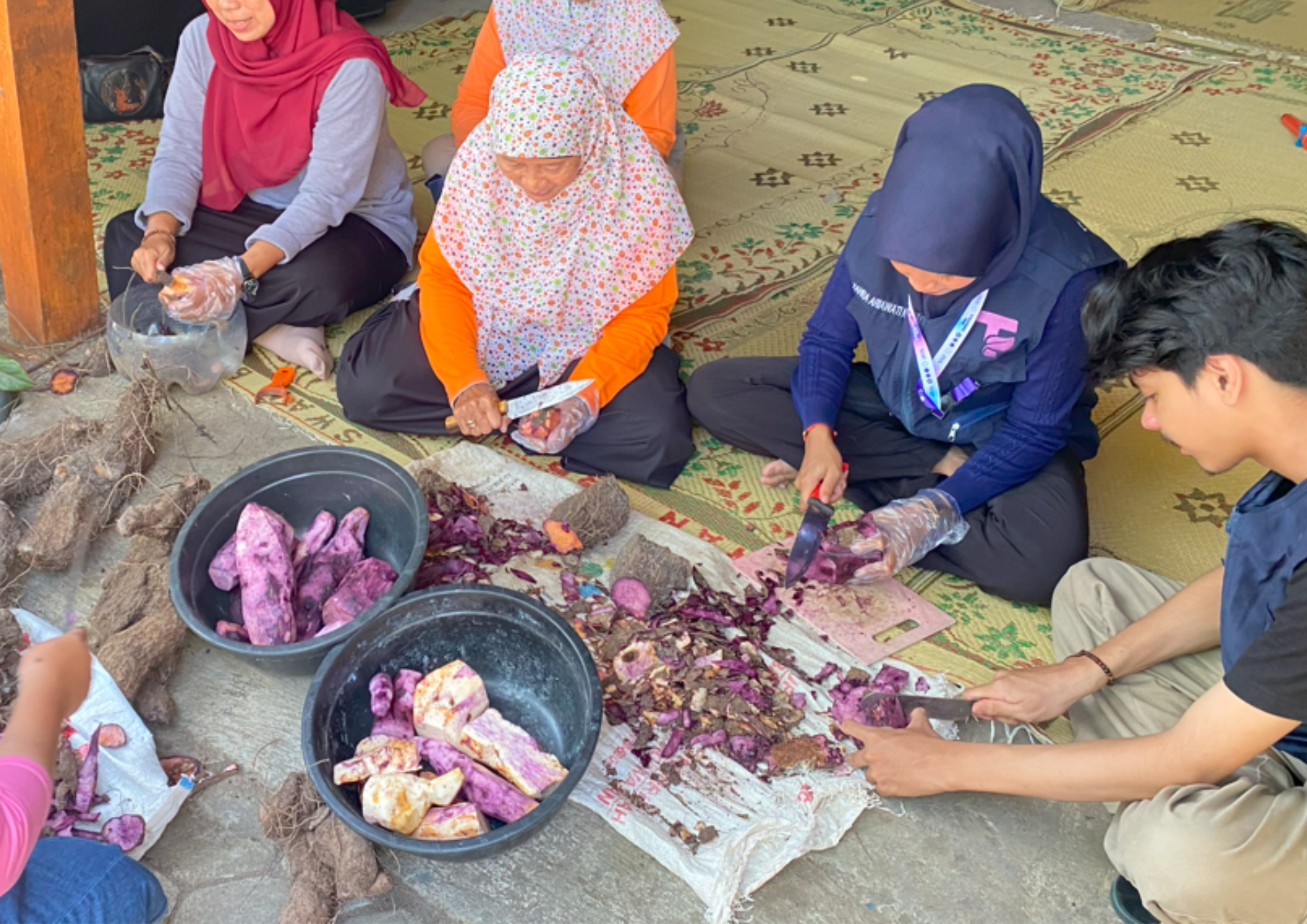 PRODUKSI UBI KELAPA